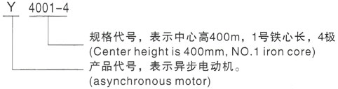 西安泰富西玛Y系列(H355-1000)高压JR126-10三相异步电机型号说明