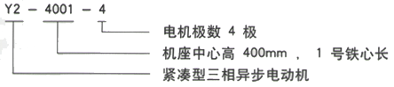 YR系列(H355-1000)高压JR126-10三相异步电机西安西玛电机型号说明